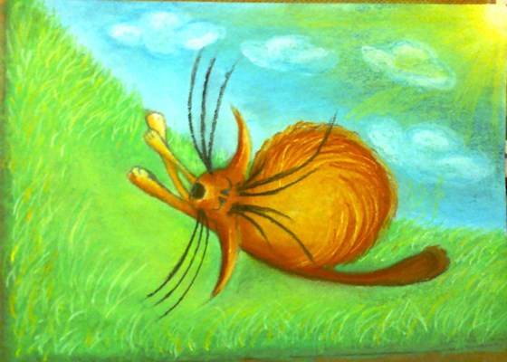 рисунки: рисунки